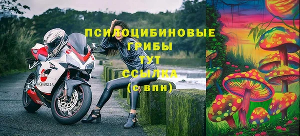 скорость Абаза