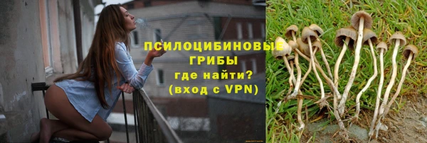 ПСИЛОЦИБИНОВЫЕ ГРИБЫ Абинск